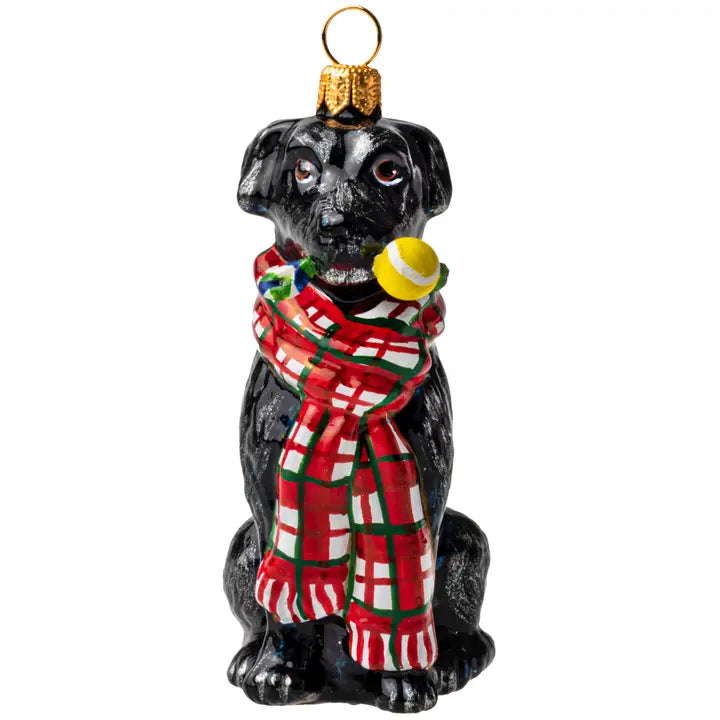 Black Lab in Scarf w- Chew Toy Ornament