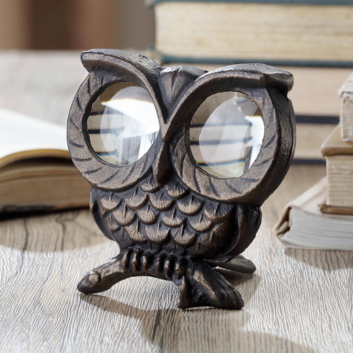 Owl Desktop Magnifier