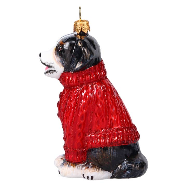 Bernese Mountain Dog in Aran Sweater