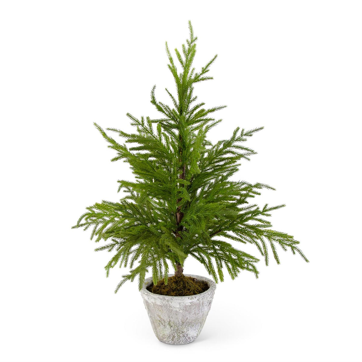 34 Inch Real Touch Norfolk Pine Tree in Gray Pot