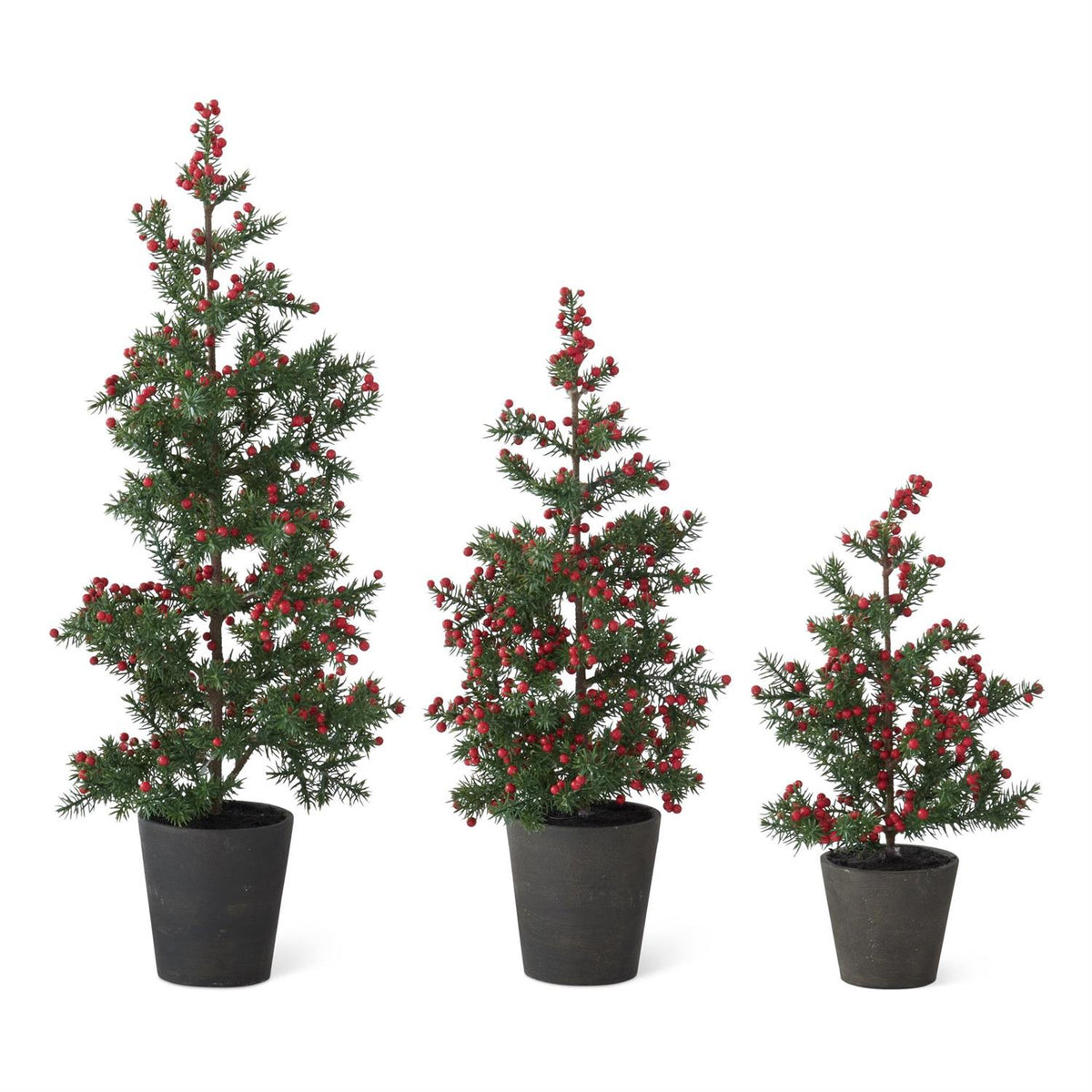 Juniper Pine Tree w- Red Berries in Black Ceramic Pot