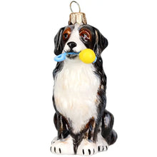 Load image into Gallery viewer, Bernese Mt Dog with Chew Toy Ornament