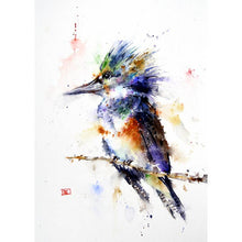 Load image into Gallery viewer, 5 x 7" Greeting Card 'KINGFISHER'