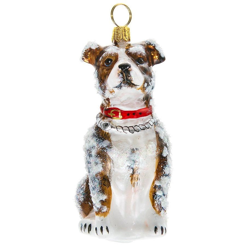 American Staffordshire - Snowy Version Ornament