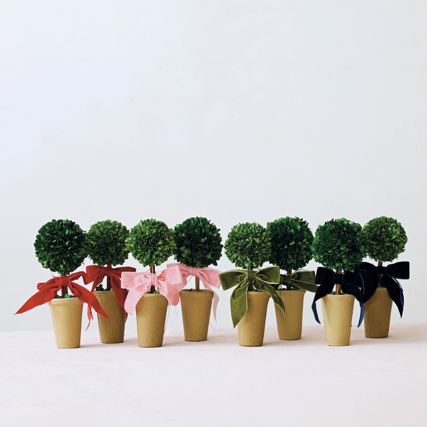 Boxwood Tree in Terra Cotta Pot w- Green Velvet Ribbon