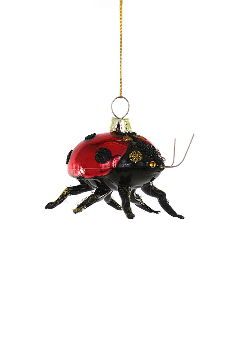 Garden Lady Bug Ornament