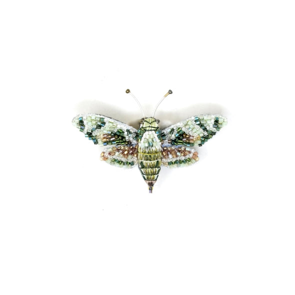 Hawk Moth Brooch Pin