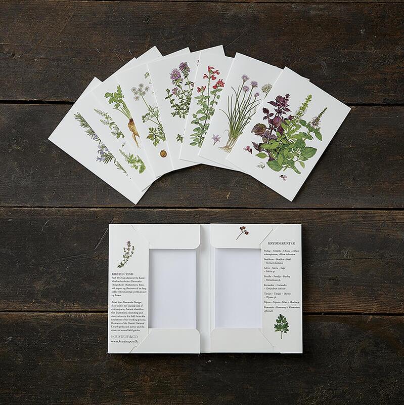 Card Folder- Herbs 8 cards w/ Envelopes