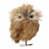 4" Wide-eyed Night Owl Ornament