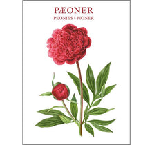 Load image into Gallery viewer, Square Card Folder- Peonies Design w/ 8 Cards