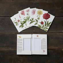 Load image into Gallery viewer, Square Card Folder- Peonies Design w/ 8 Cards