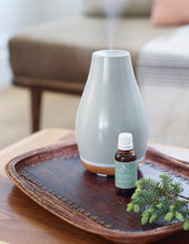 Load image into Gallery viewer, Roland Pine Fragrance Oil