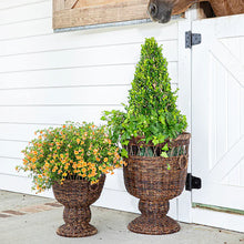 Load image into Gallery viewer, Devon Willow Urn, MED