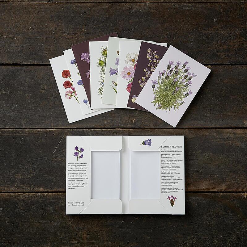 Card Folder- Summer flowers 8 cards w/8 envelopes