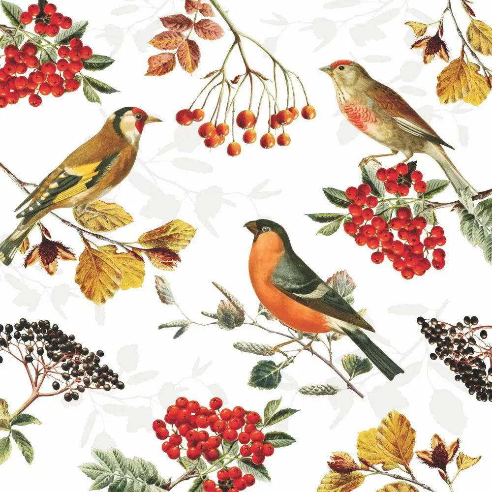 Bev- Autumn Birds