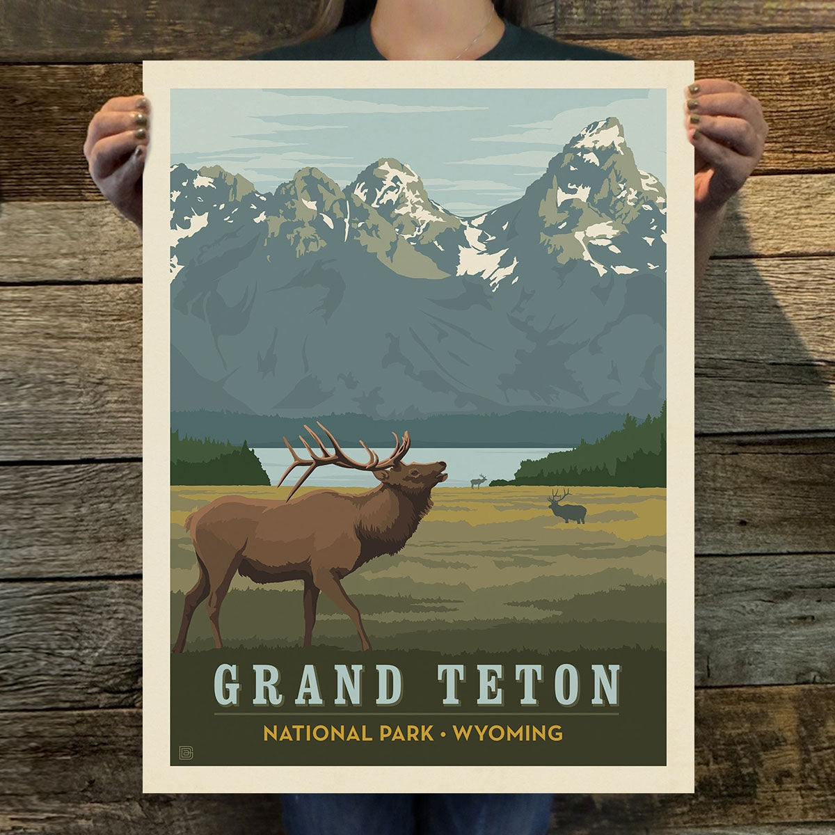 Grand Teton National Park: Elk Art Print | 11X14"