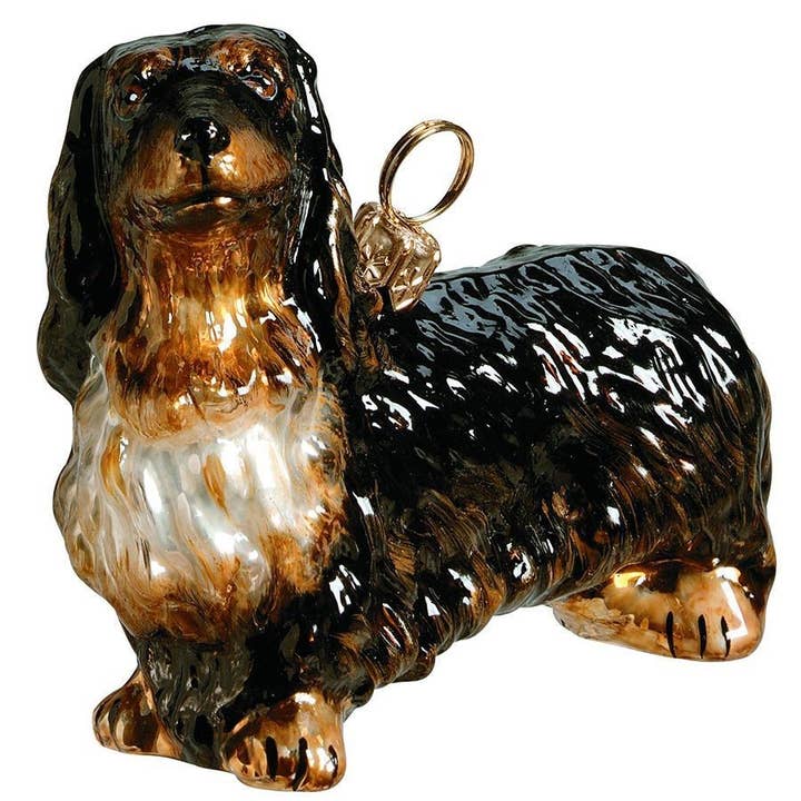 Long Haired Dachshund, Black