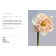 Load image into Gallery viewer, Daffodils: Beautiful Varieties For Home and Garden