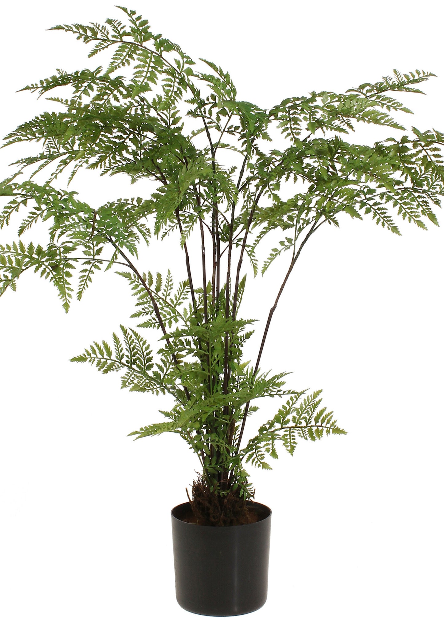 26" Potted Fern