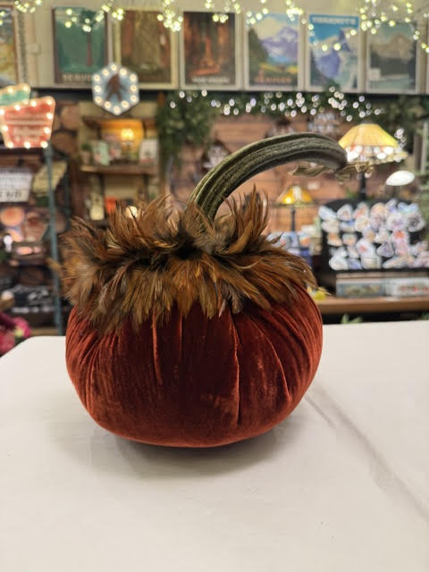 8" Velvet Pumpkin with Feather Collar