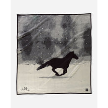 Load image into Gallery viewer, A Horse Called Paint Blanket
