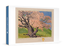 Load image into Gallery viewer, The Bishop&#39;s Apricot SM Boxed Cards
