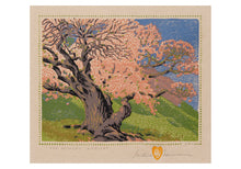 Load image into Gallery viewer, The Bishop&#39;s Apricot SM Boxed Cards
