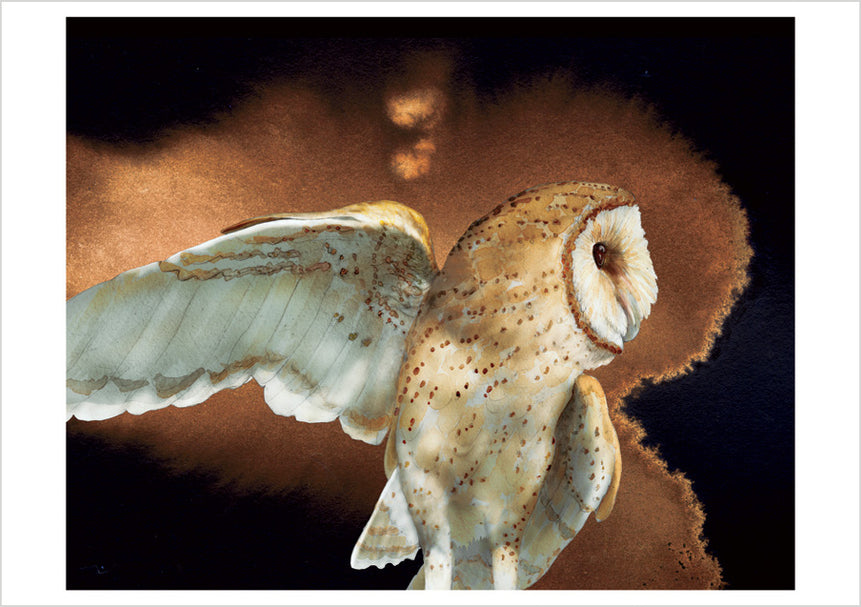 Barn Owls BOXED Notecards, Asst.