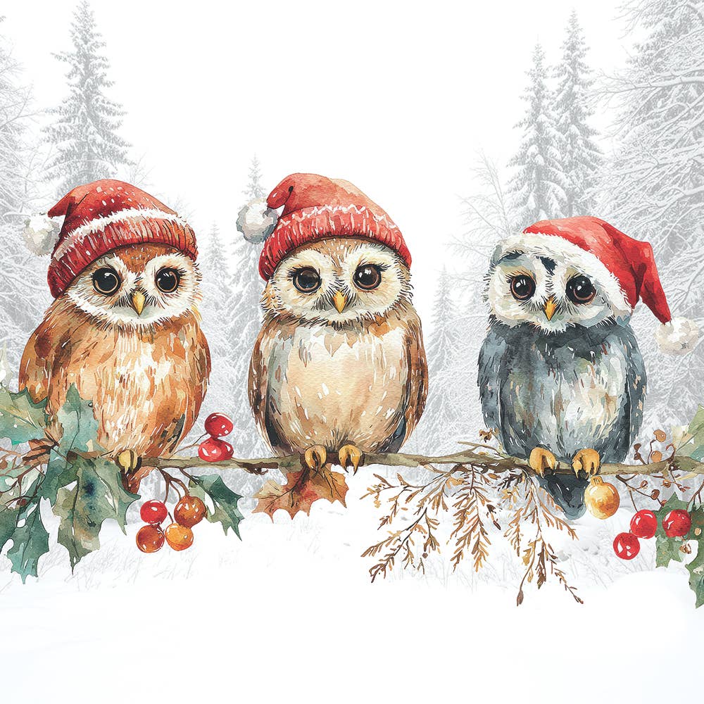 Bev- Wise Owls