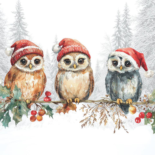 Bev- Wise Owls