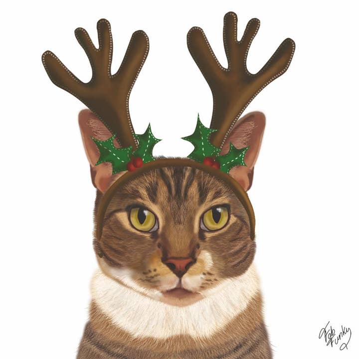 Bev -  Reindeer Kitty