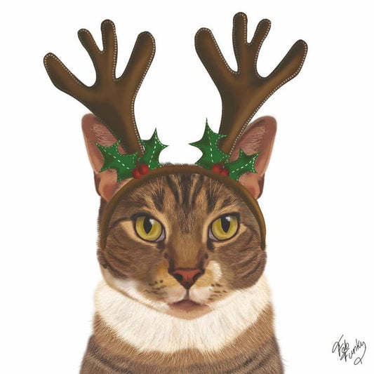 Bev -  Reindeer Kitty