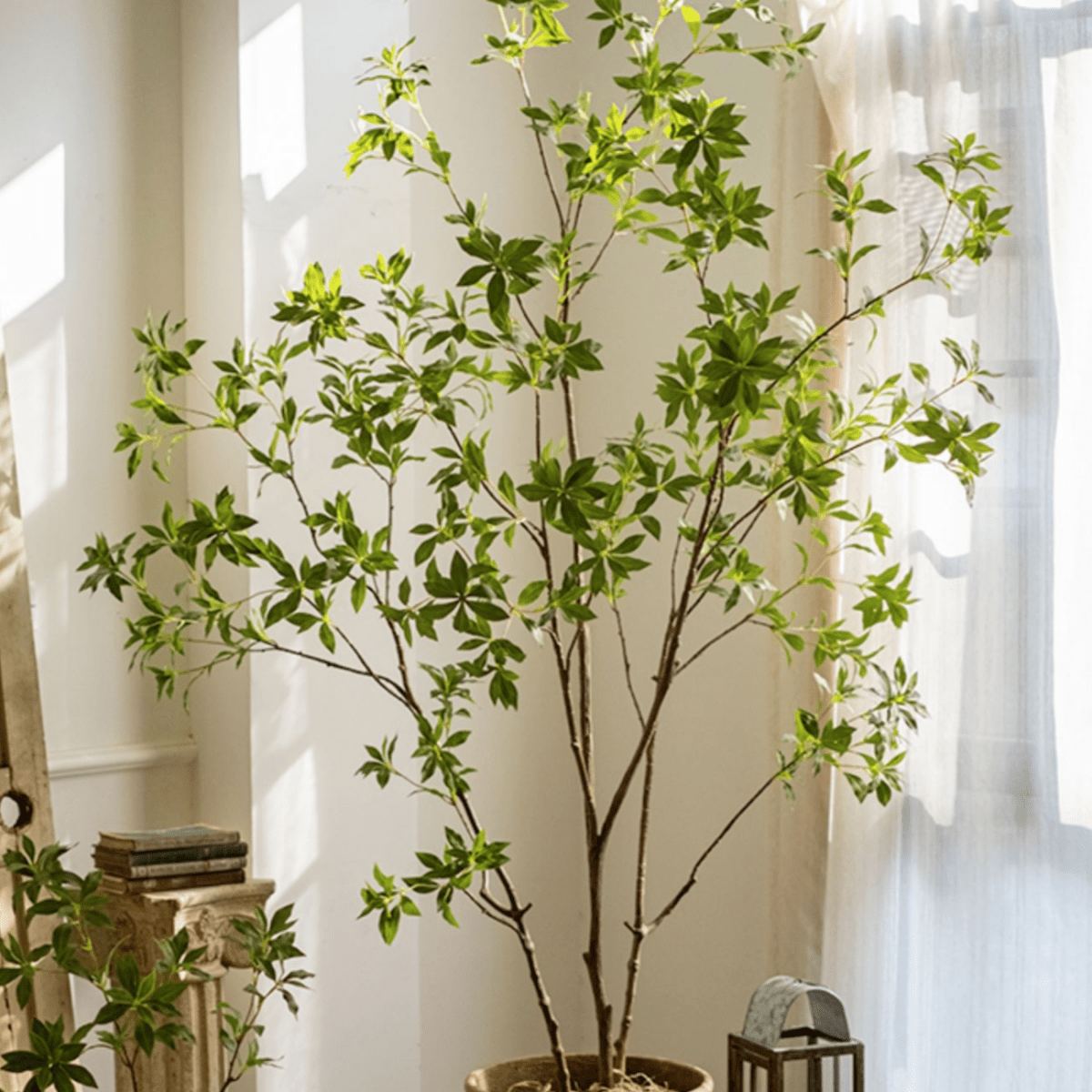 Artificial Japanese Enkianthus Tree, MED
