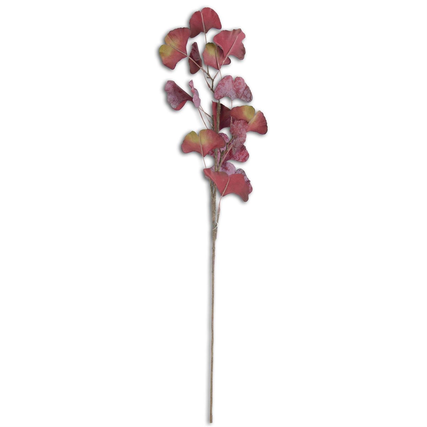 30" Burgundy Gingko Stem