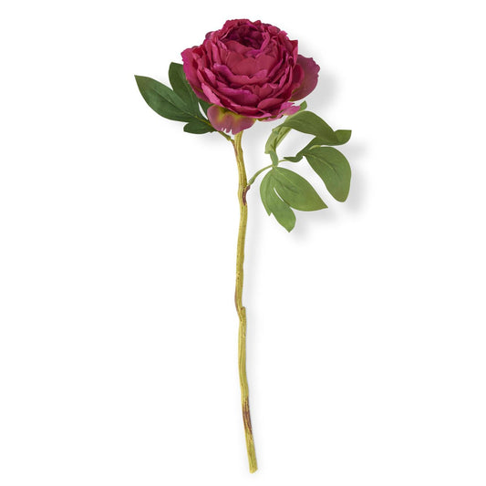 27" Fuchsia Peony Stem