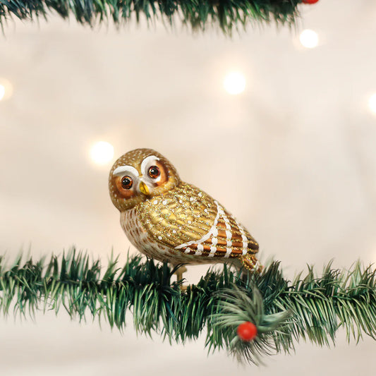 2.25" Pygmy Owl Ornament
