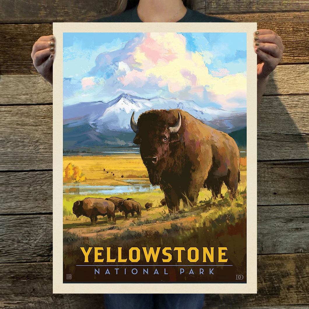 Yellowstone National Park: American Bison Art Print | 11X14