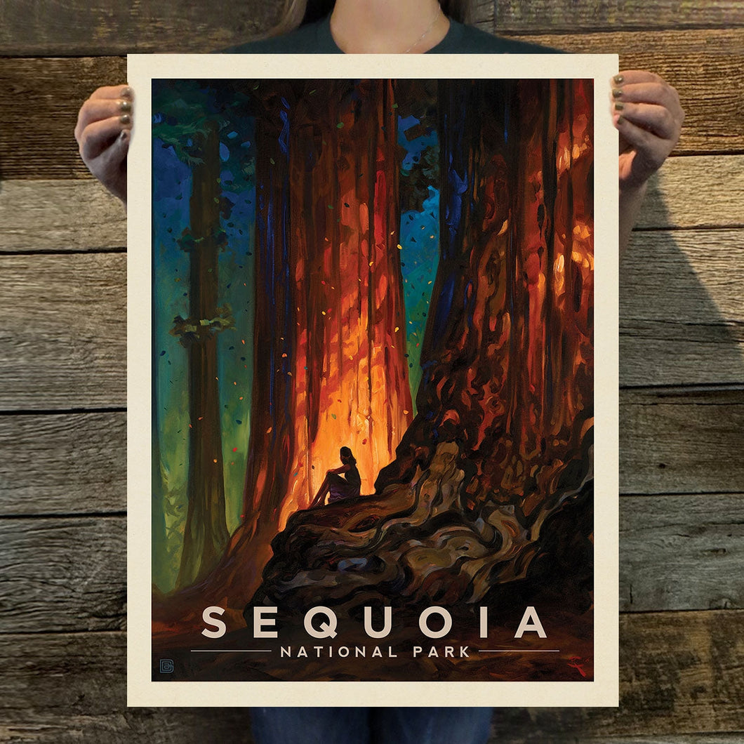 Sequoia National Park: Nature'S Cathedral  Art Print | 11X14