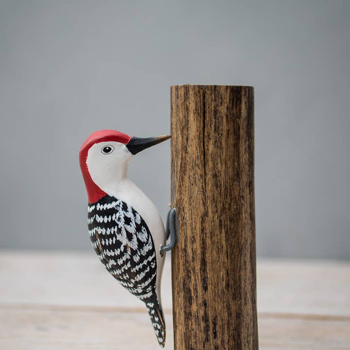 5" Mini Red Bellied Woodpecker