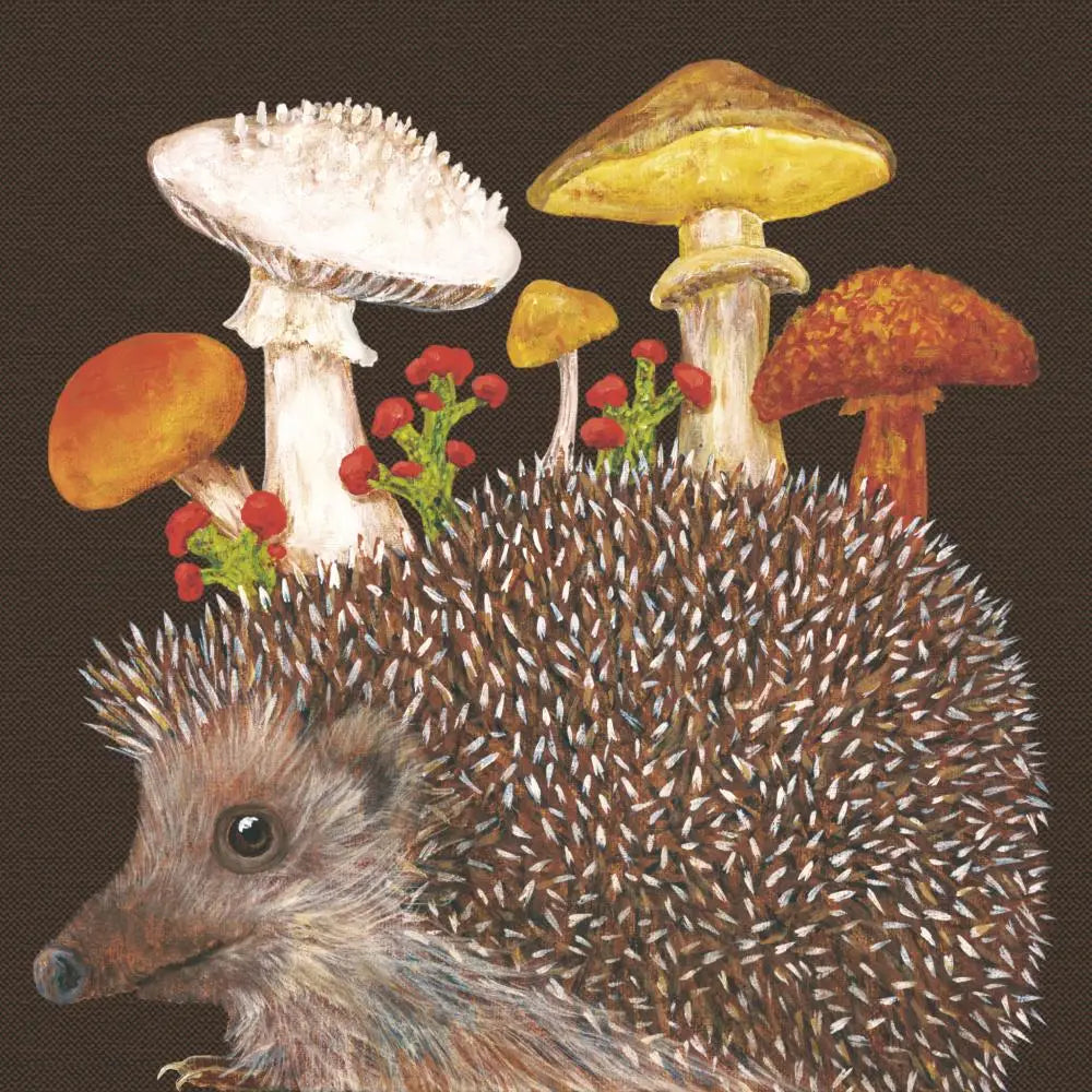 Bev- Harold the Hedgehog