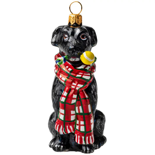Black Lab in Scarf w- Chew Toy Ornament