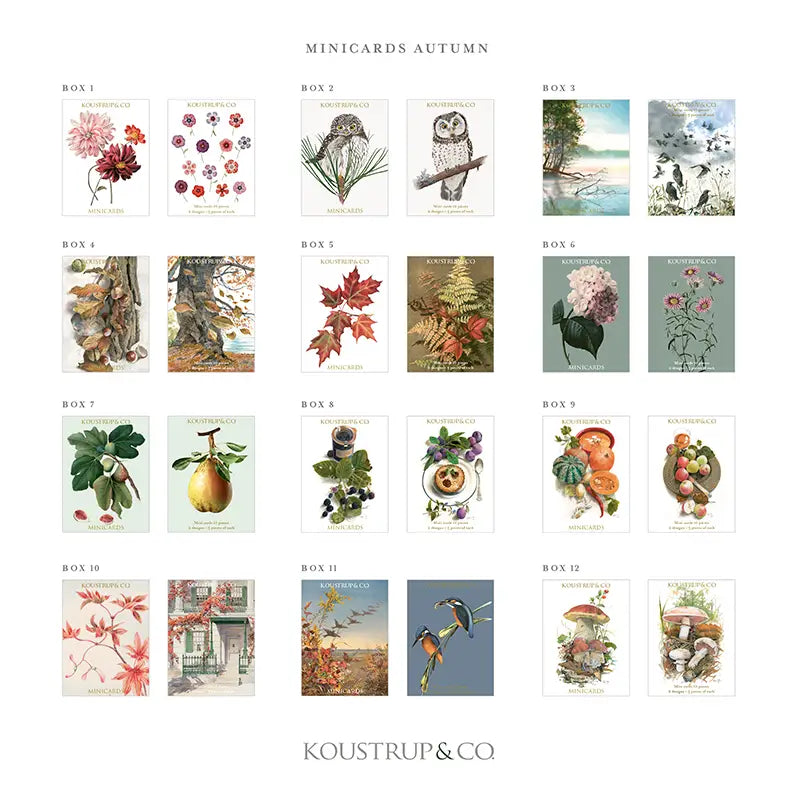 Box Of Beautiful Autumn Minicards