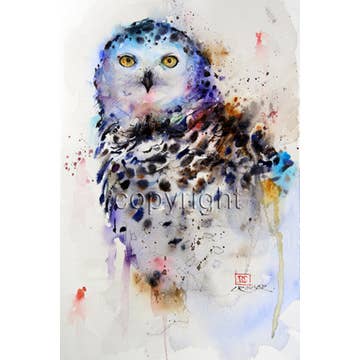 Snowy Owl 5x7 Greeting Card