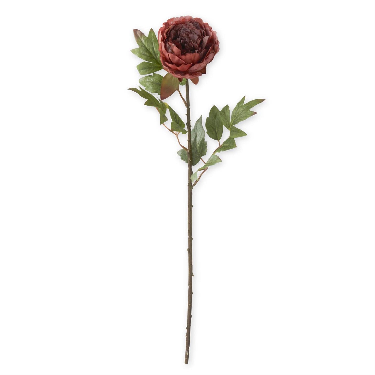 22 Inch Burgundy Real Touch Peony