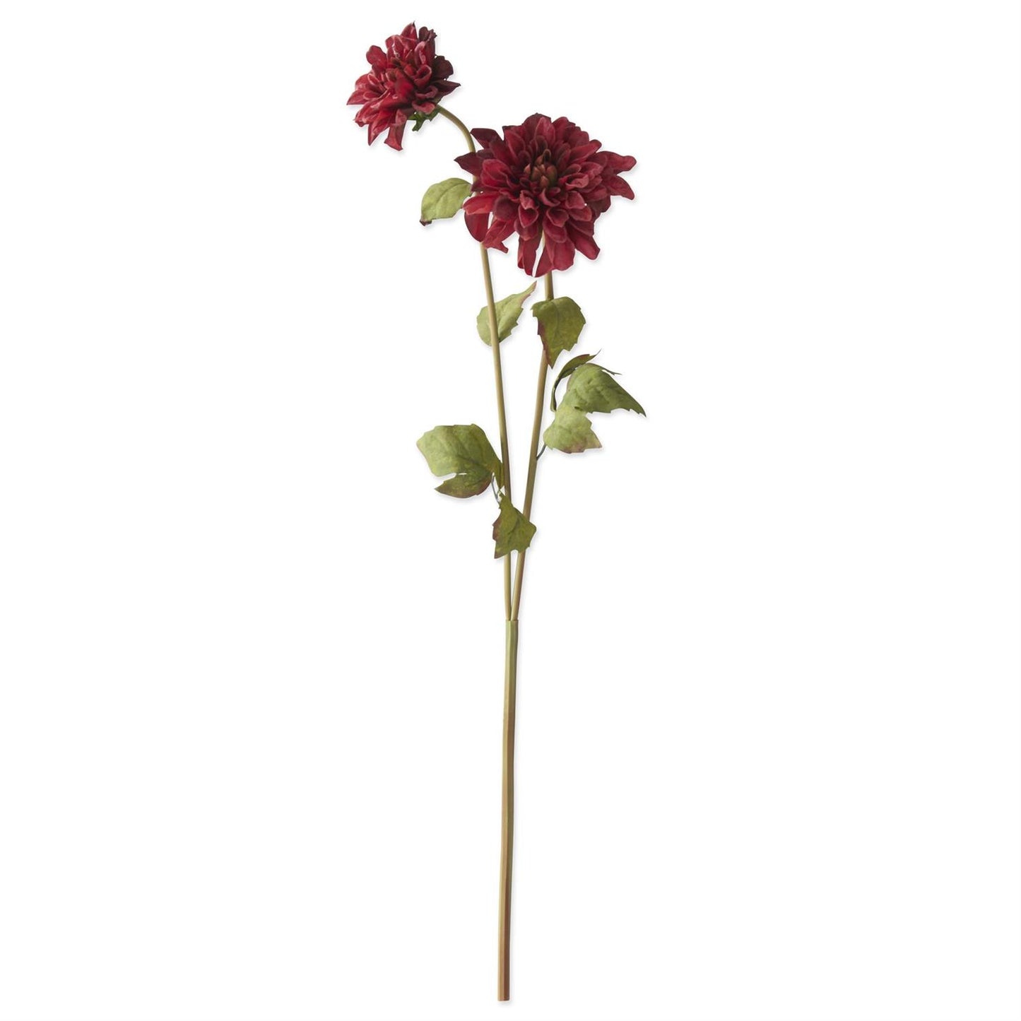 24 Inch Burgundy Dahlia Double Blossom Stem