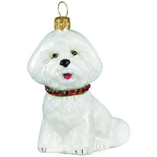 Bichon Frise w- Red & Green Collar