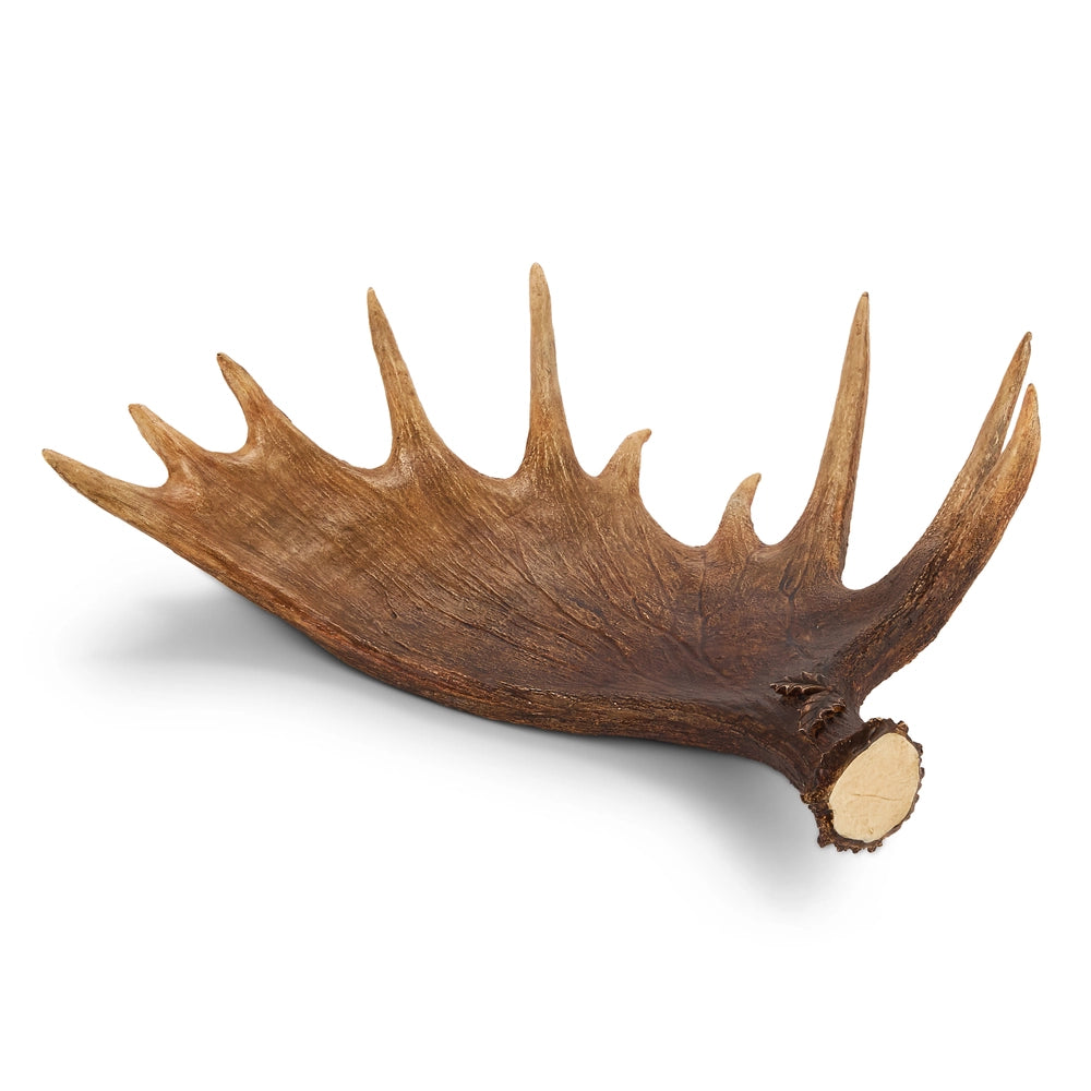 25" Moose Antler Tray