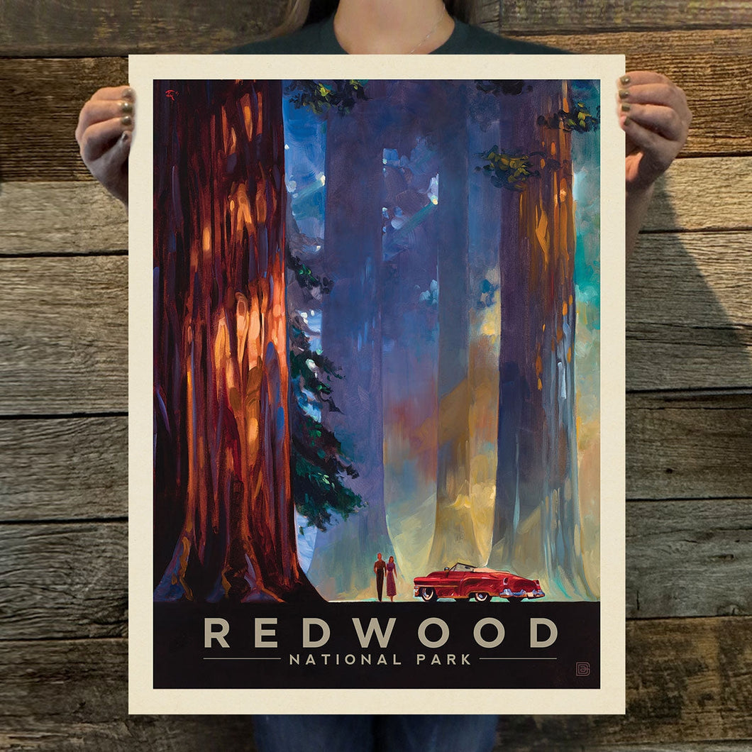 Redwood National Park: Among The Giants Art Print | 11X14