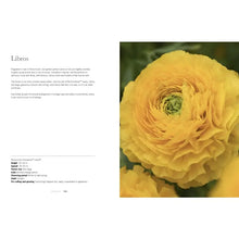 Load image into Gallery viewer, Ranunculus: Beautiful Varieties For Home and Garden
