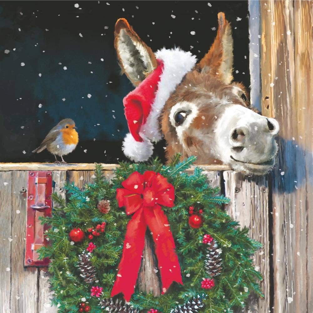Bev- Friends with Donkey